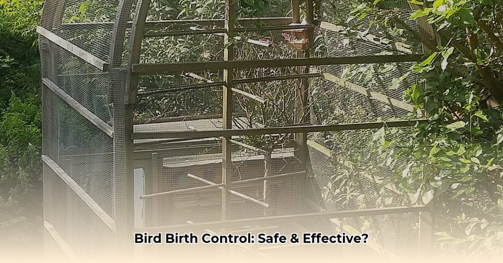 Image showcasing Aviary Contraceptives: What You Need to Know About Bird Population ...