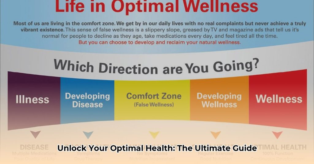 OPTIMAL DEFINITION MEANING visual data 6