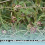 burnet_company_edited