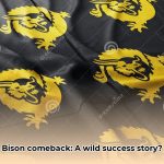 bision_edited