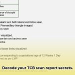 tcb_scan_report_explained_edited